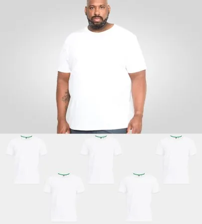 D555 Big & Tall 5 PACK Combed Cotton Crew Neck T-Shirt — WHITE